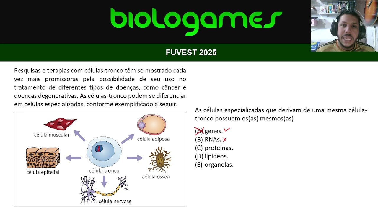 FUVEST 2025 - Células Tronco (Genética)