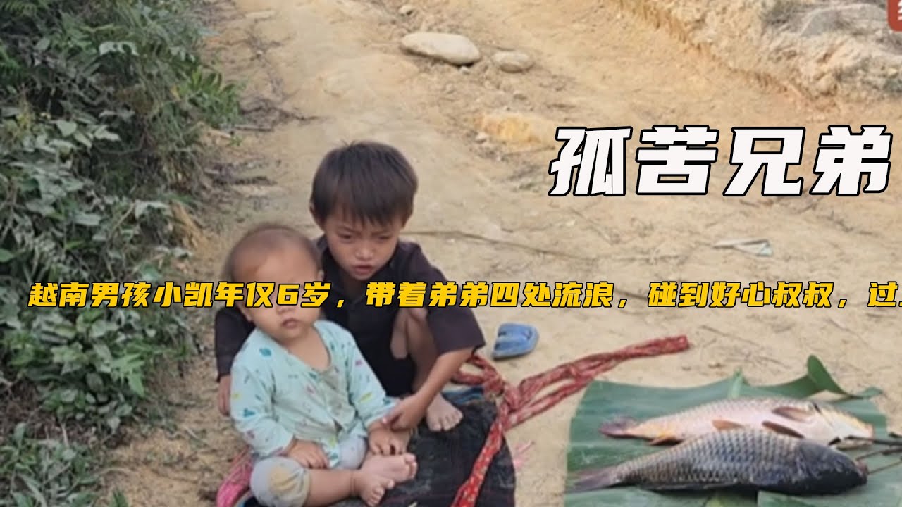 越南男孩小凱年僅6歲，帶著弟弟四處流浪，碰到好心叔叔，過上幸福生活《1-10》
