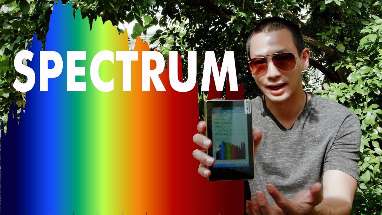 ปลูกต้นไม้ควรใช้ไฟแบบไหน ค่าแสงหลอดไฟแต่ละชนิดต่างกันอย่างไร  SPECTRUM หิวแสงChannel #EP2