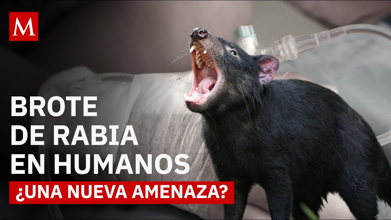 Posible caso de rabia humana en México; la paciente fue atendida en Durango