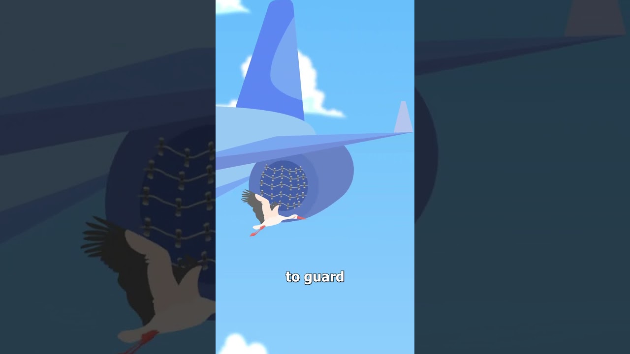 Почему в самолетах нет защитных устройств от птиц 🤔