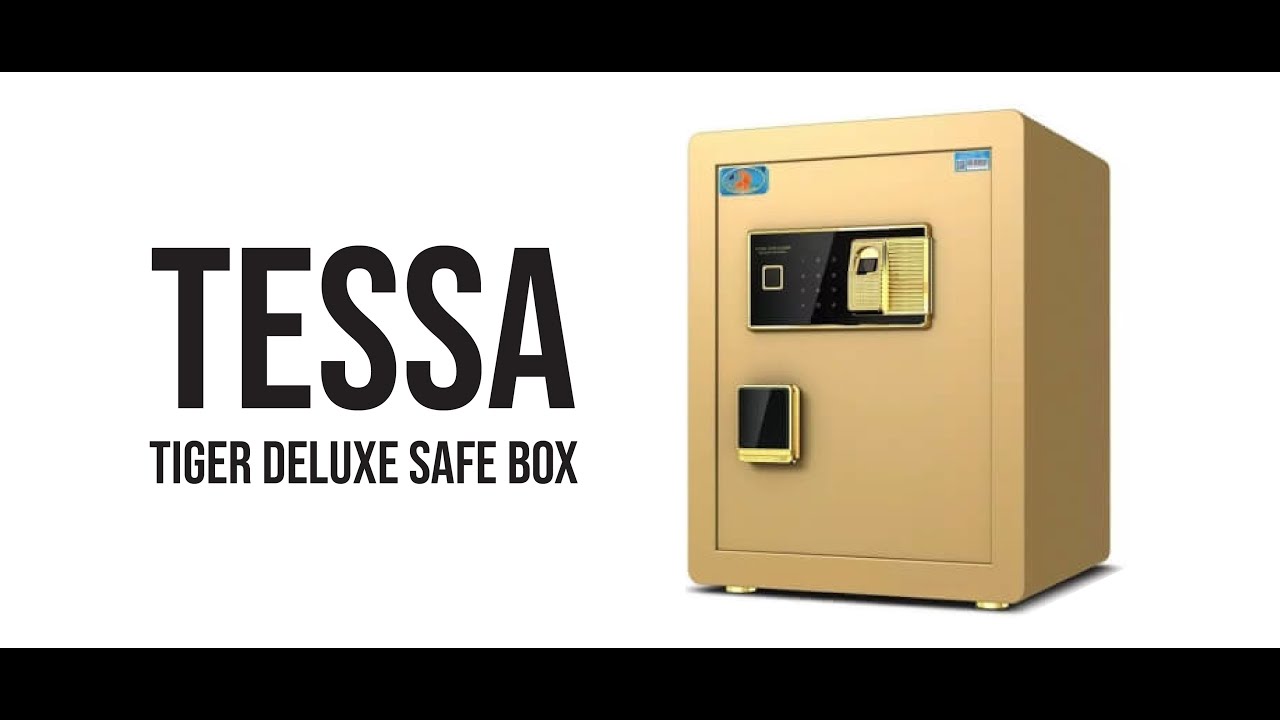 Tessa Tiger Deluxe Commercial Safety Box (w Finger Print)