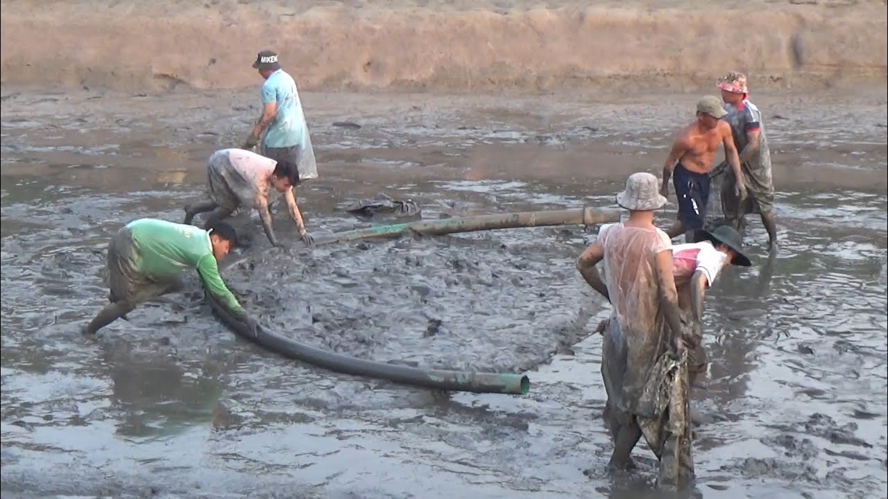 Xem bắt cá đáy hầm cá lóc sang năm 2026 bắt đầu vụ nuôi cá mới 