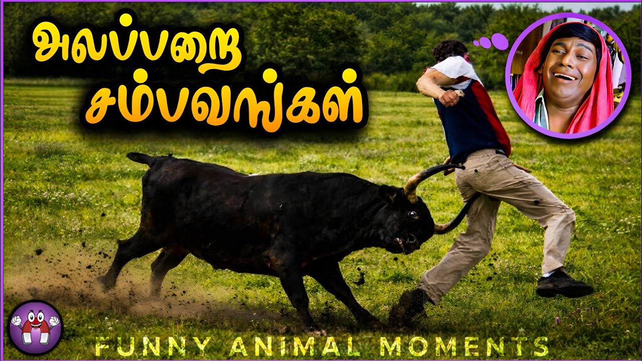 கோளாறான விலங்குகள் சம்பவம் | Funny animals | The Magnet Family 2.0