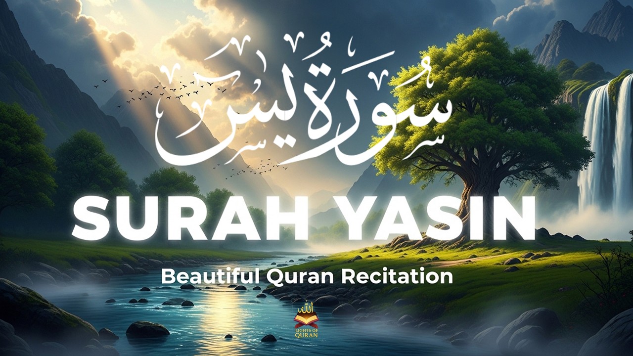 Surah Yaseen سورة يس | Calming Lofi Quran Recitation for Night Peace & Relaxation #quranforsleep