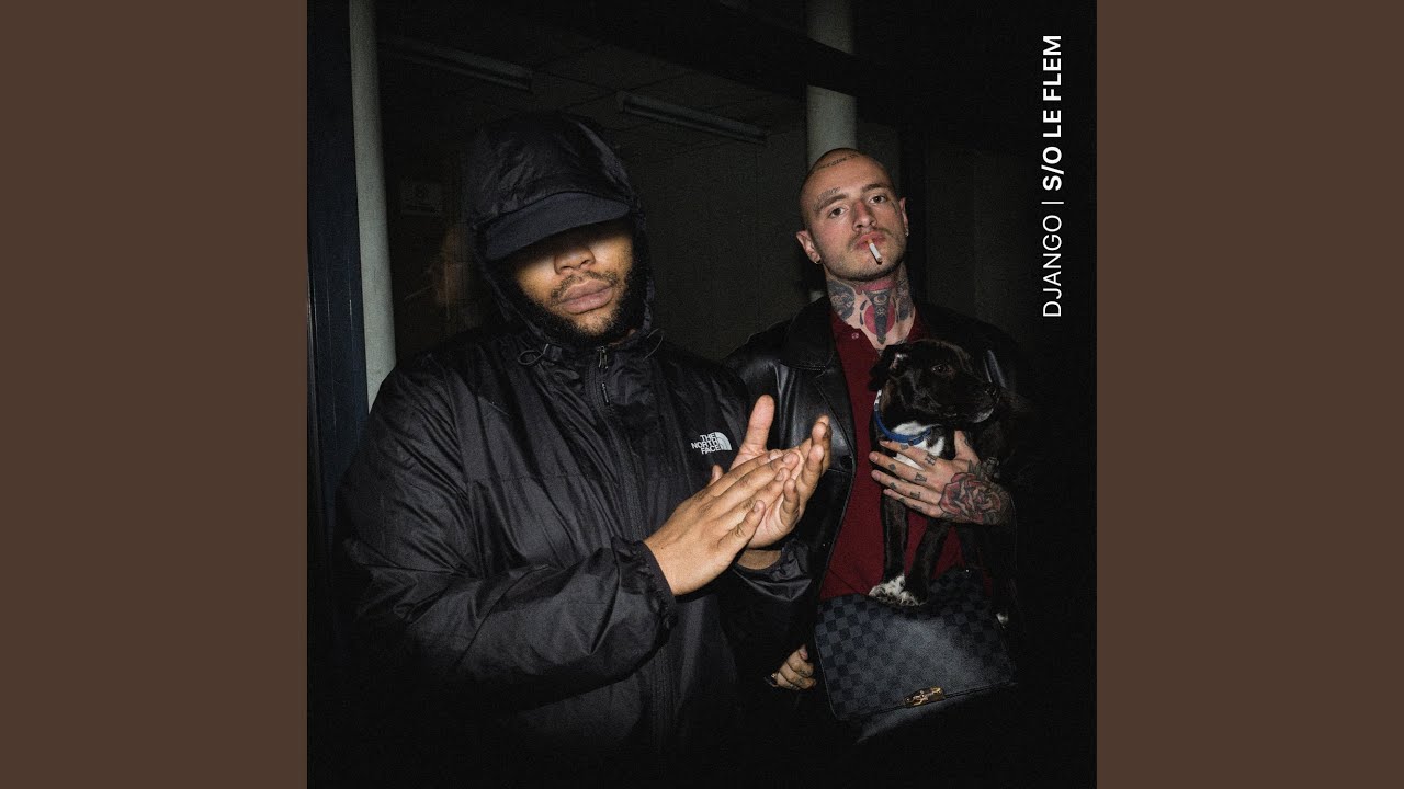 S/O le Flem (feat. Roi Heenok & Freeze Corleone)