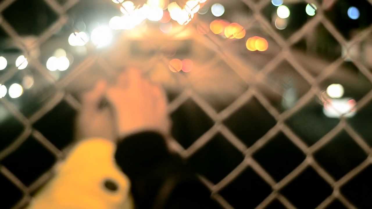 La avenida - Paulino Monroy