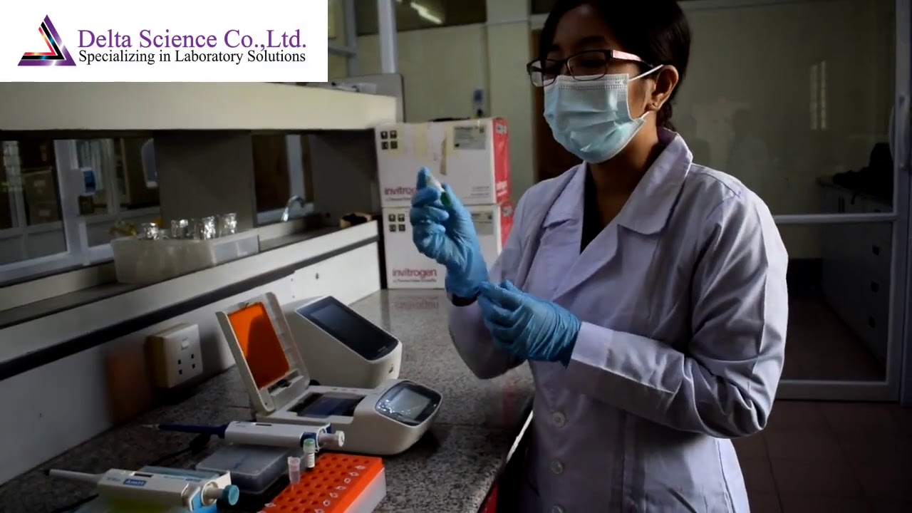 Invitrogen E-Gel Power Snap Electrophoresis System