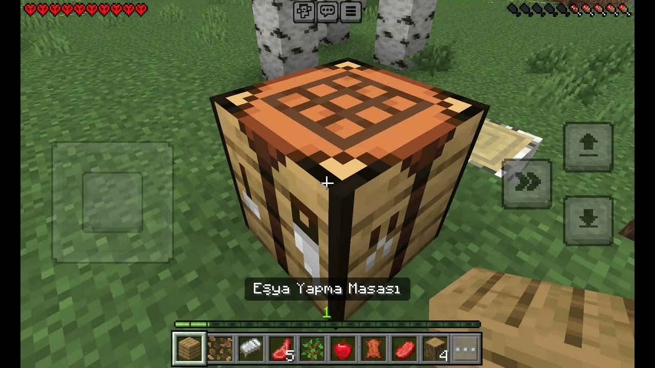 Minecraft Hardcore 1.Bölüm