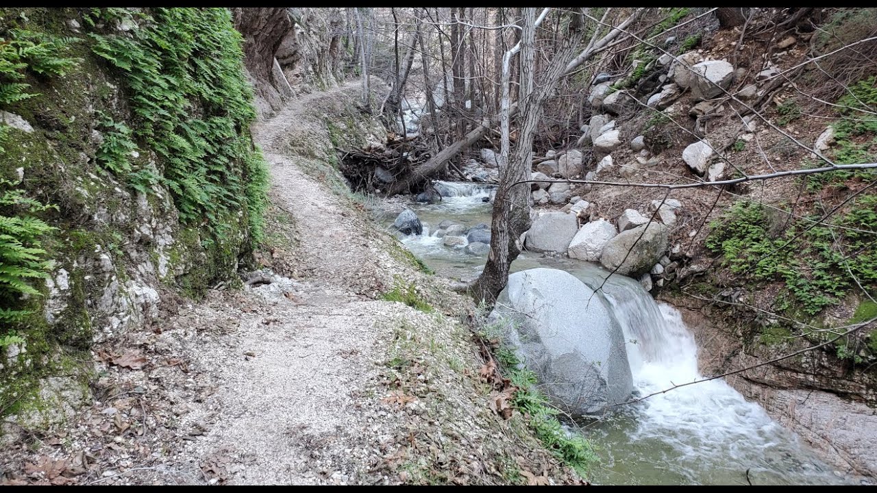 Bear Canyon and Switzer Falls Overnight Backpacking (January 2023)