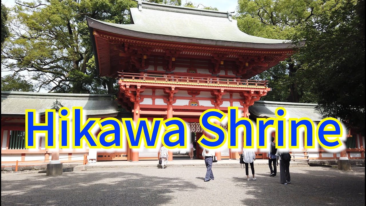 Walk in Hikawa Shrine - Historical Shrine in Japan【Japanese Shinto Shrine Tour #2】