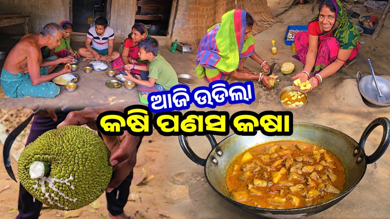 ଆଜି ଉଡିଲା କଷି ପଣସ କଷା || Odia Family Vlog || Tapan Sanju Family Vlog