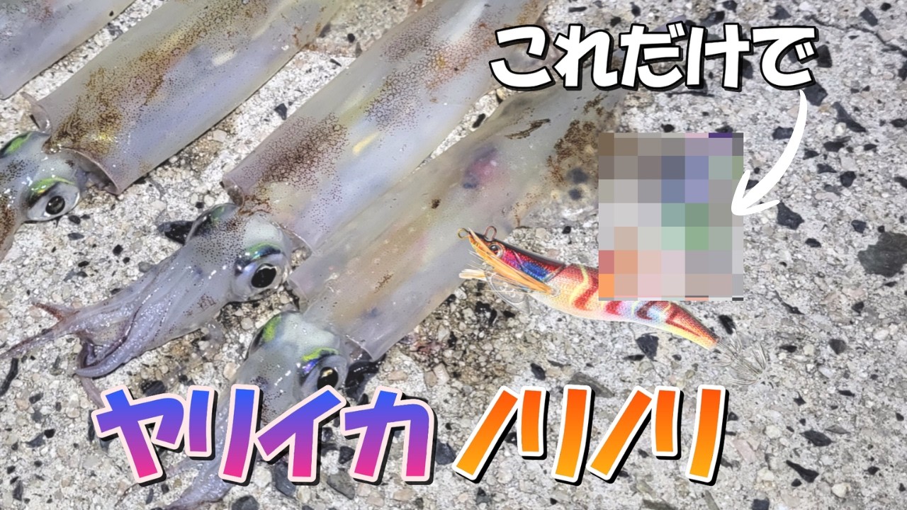 【ヤリイカ釣り】エギに塗るだけ！？ ある邪道アイテムでノリノリエギングを楽しみました。。