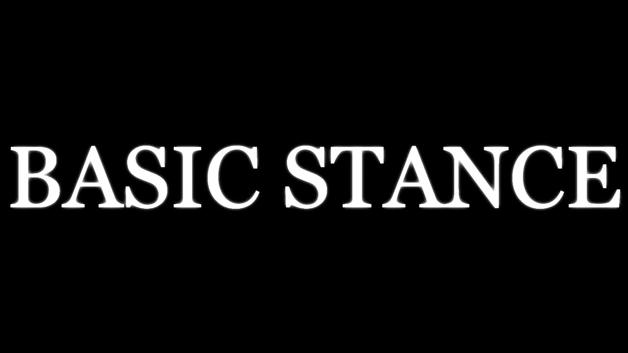 ネットラップのヤバさを知ってほしい BASIC STANCE 繋いでみた