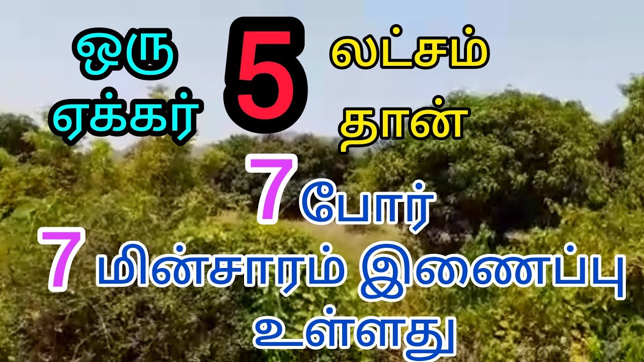 ஒரு ஏக்கர் 5 லட்சம் தான் 7 போர், 7 மின்சாரம் உள்ளது ஆறும் அருகில் உள்ளது நீர்வளமுள்ள பூமி #agriland