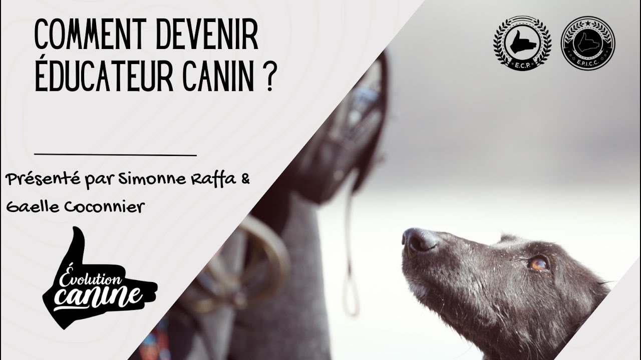 Comment devenir éducateur canin ?