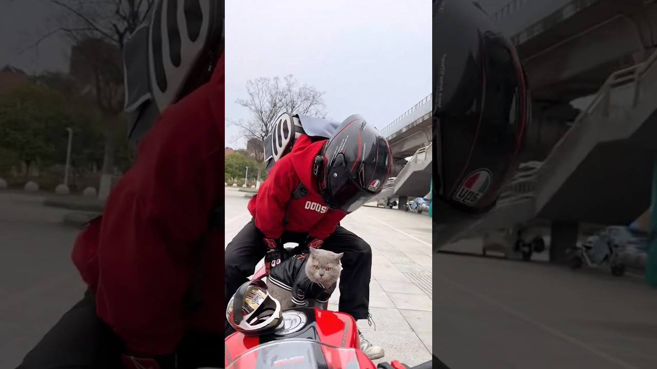 Lets Race#ulzzangboy#racelover#ulzzang#race#ulzzangstyle#kdrama#animeboy#anime#skate#moto