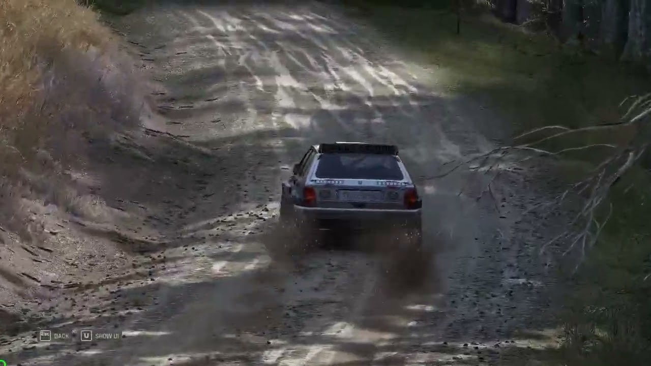Assetto Corsa Rally Reverse Entry