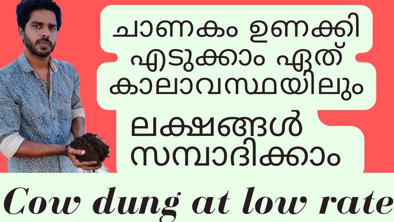 Cow dung business ideas 💡 ചാണകം ഉണക്കി എടുക്കാം ചിലവ് ചുരുക്കി ഏത് കാലാവസ്ഥയിലും
