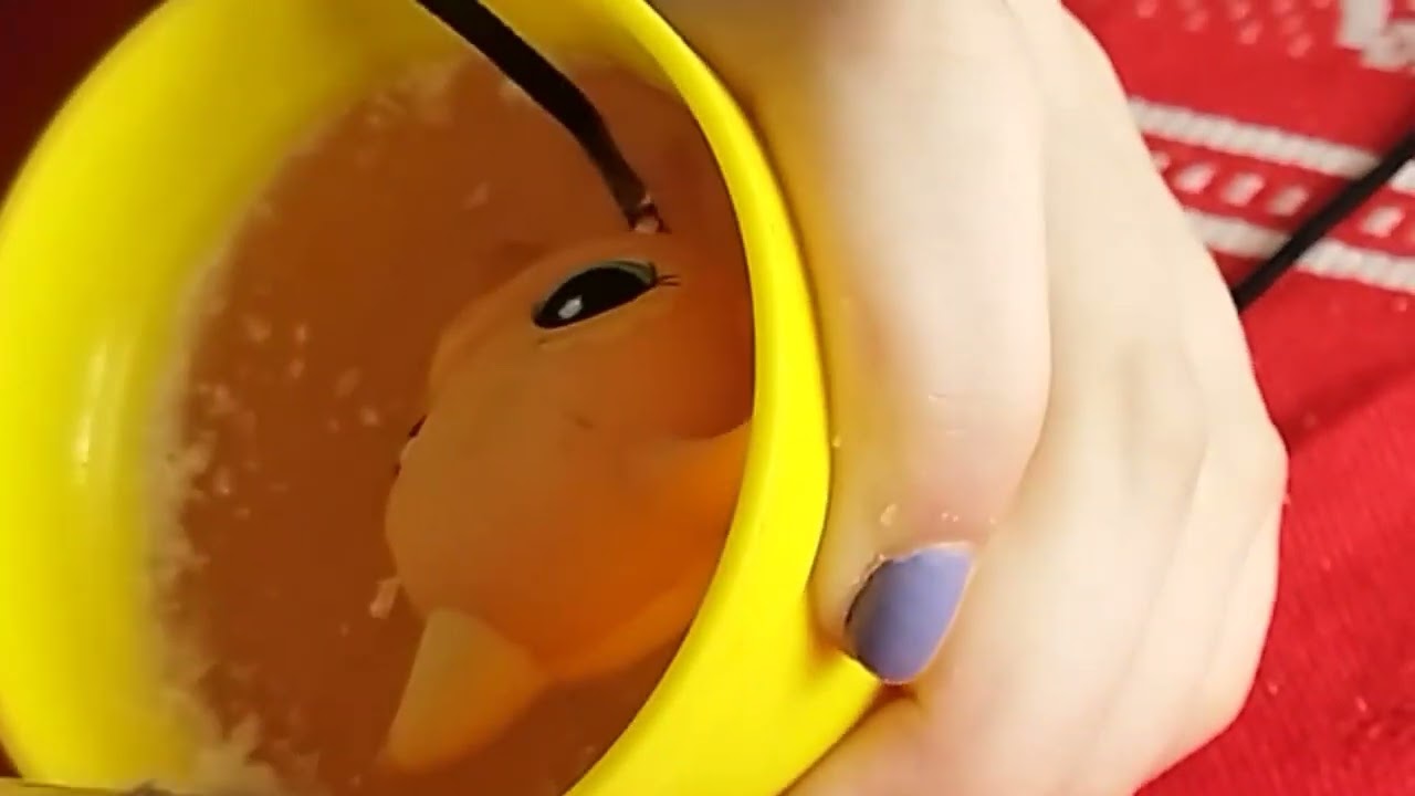 TAG- Je glace un LPS avec Funny LPS