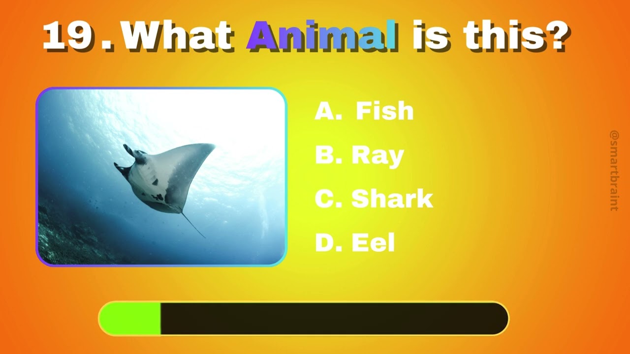 Guess the Animal | Medium Level Animal Quiz Challenge!