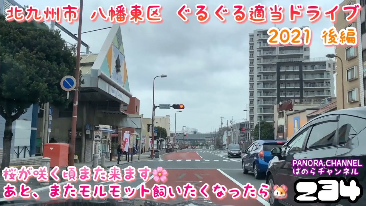 【福岡県】北九州市 八幡東区 ぐるぐる適当ドライブ 2021 後編 桜が咲く頃また来ます🌸またモルモット飼いたくなったら🐹 Yahatahigashi Ward,Kitakyushu City