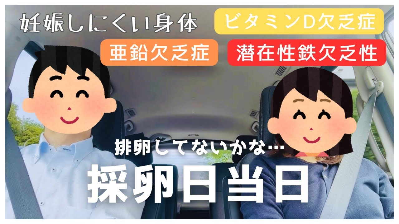 【初採卵】恐怖の局所麻酔/採卵結果/一年間続けた体質改善の結果