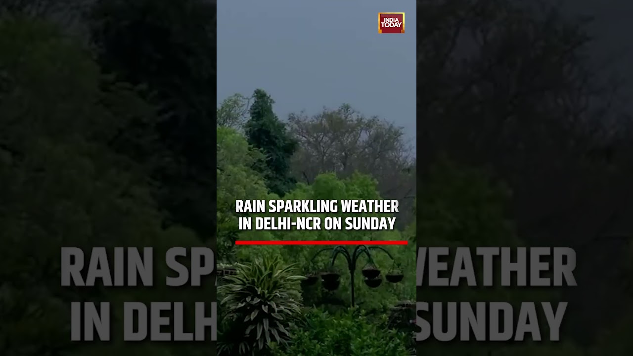 Delhi wakes up to Drizzling Rain on Sunday (March 15) | #shorts #delhirain