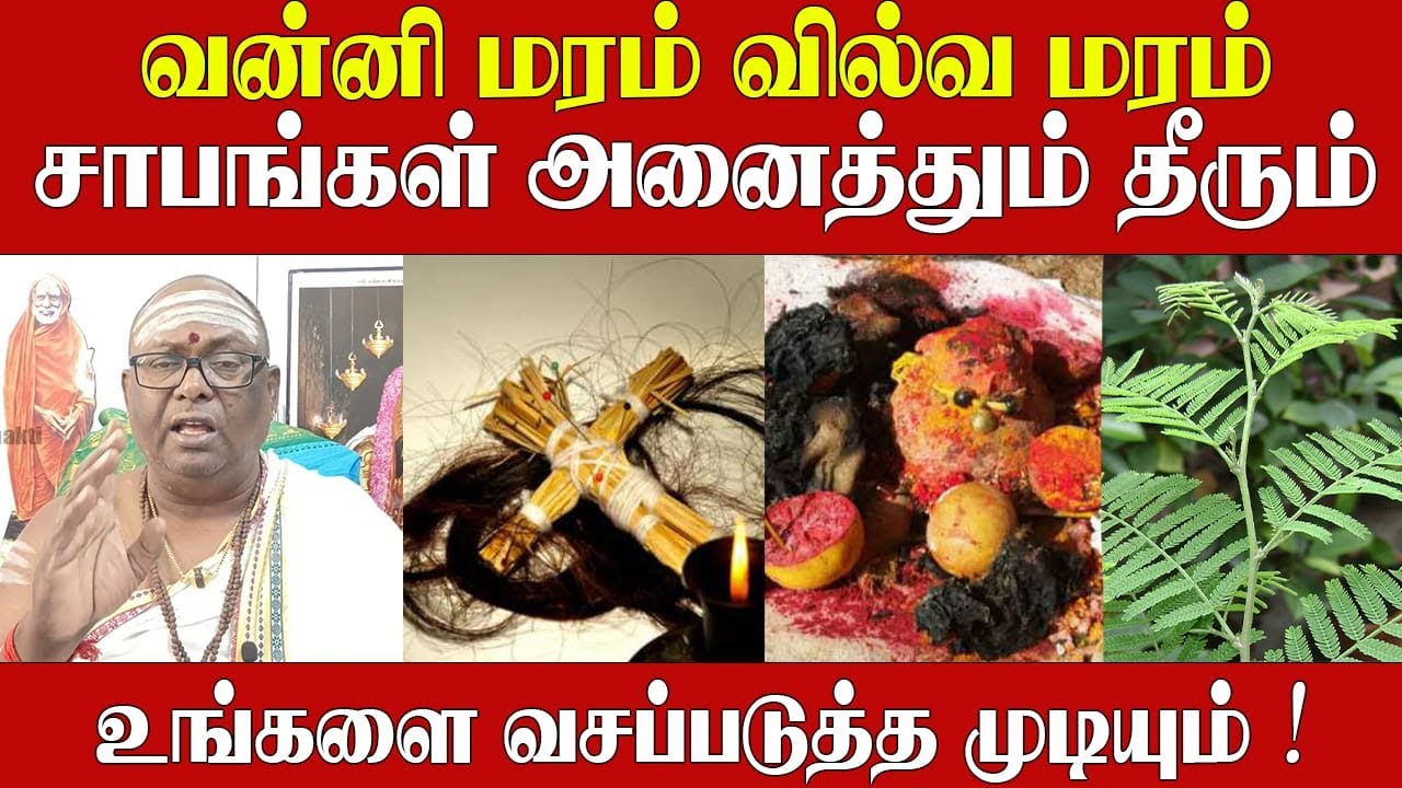வன்னி மரம் இவ்வளவு நன்மைகள்! சாபங்கள் அனைத்துமே தீரும்  | Pariharam | vanni maram benefits