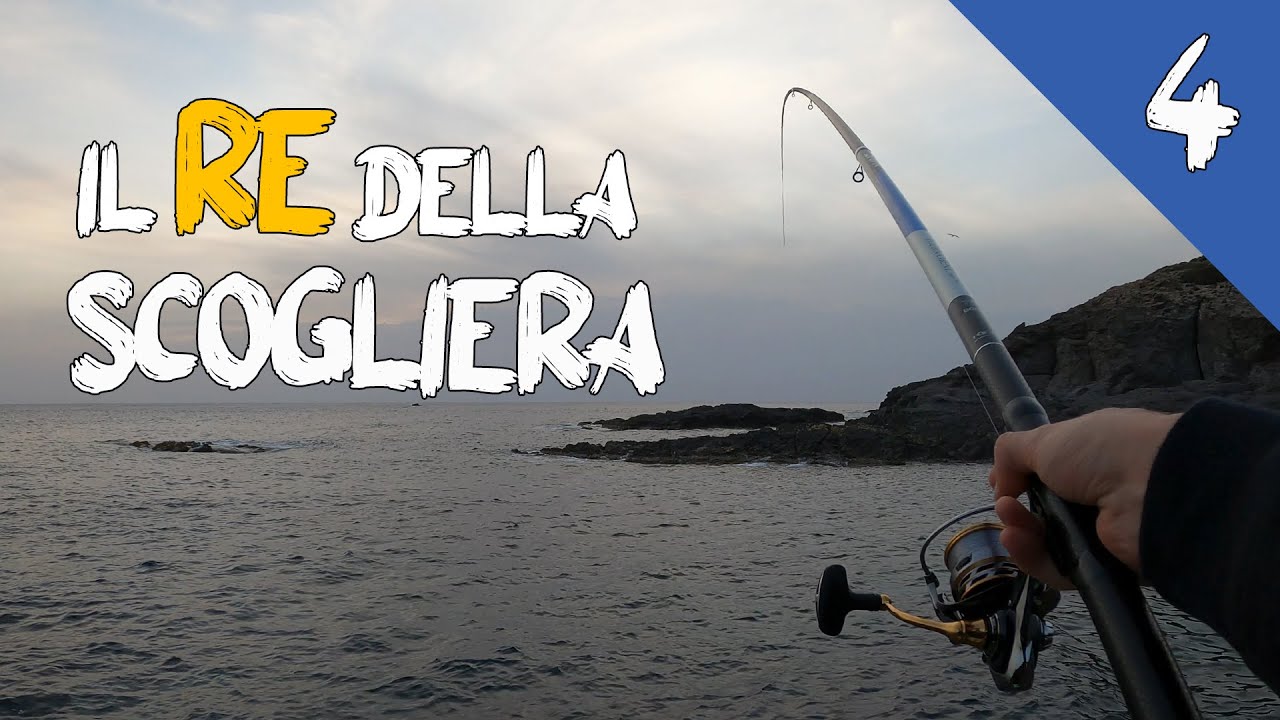Pesca Bolognese | Questo PESCE mi ha INCHIODATO la Canna‼ - Speciale 1000 ISCRITTI  [Drone 4K]