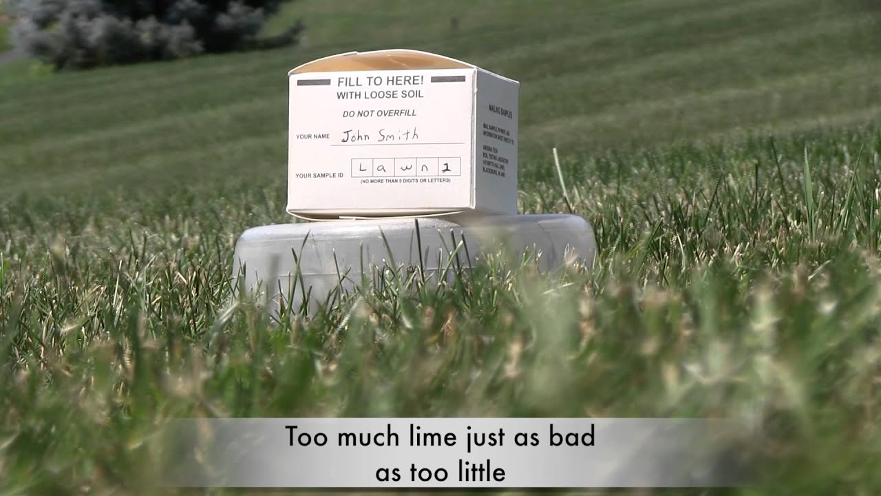 A lawn to Dye for: Soil testing