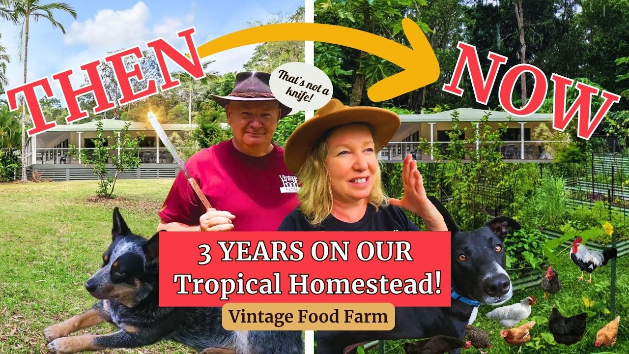 3 YEARS IN 🥰 Our Tropical Homestead🌴🤠🐔
