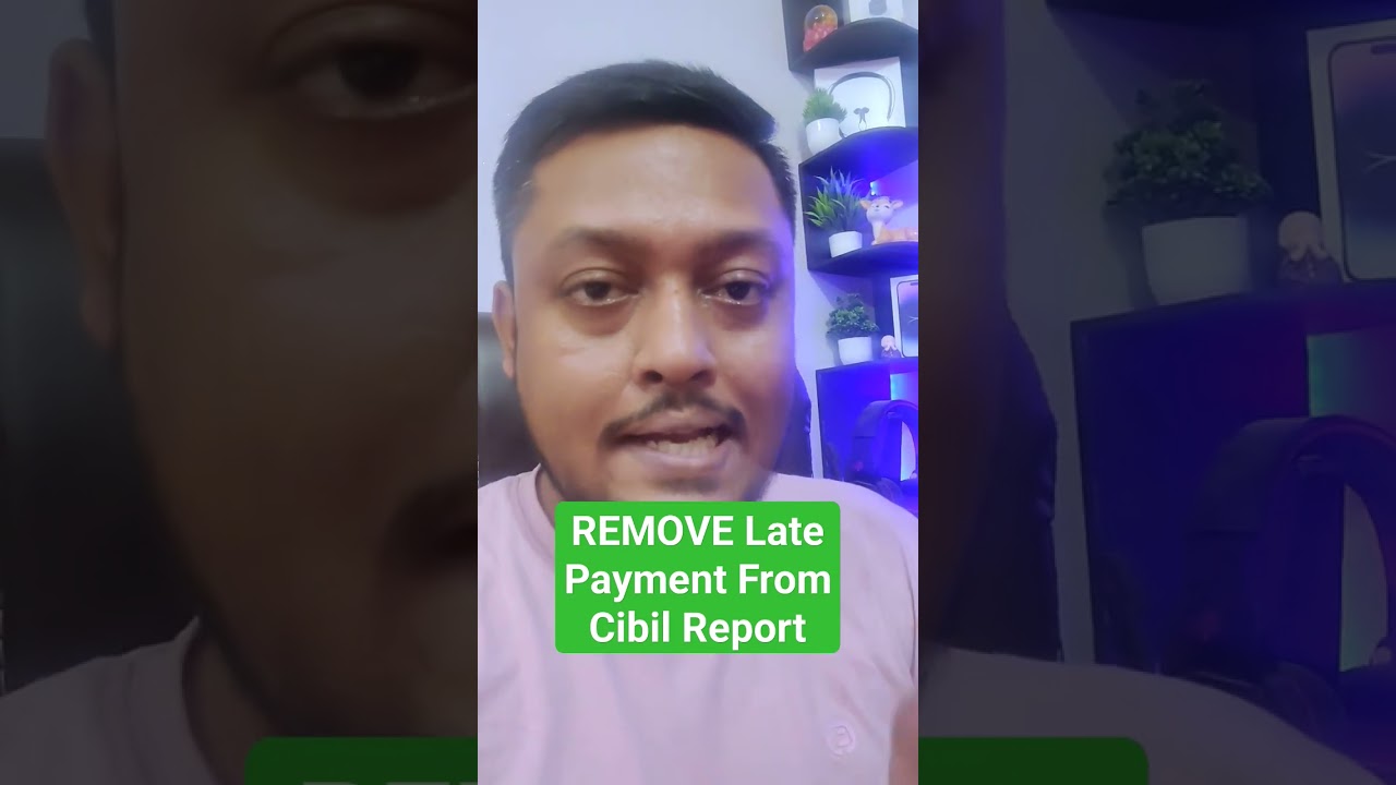 remove late payment from cibil report