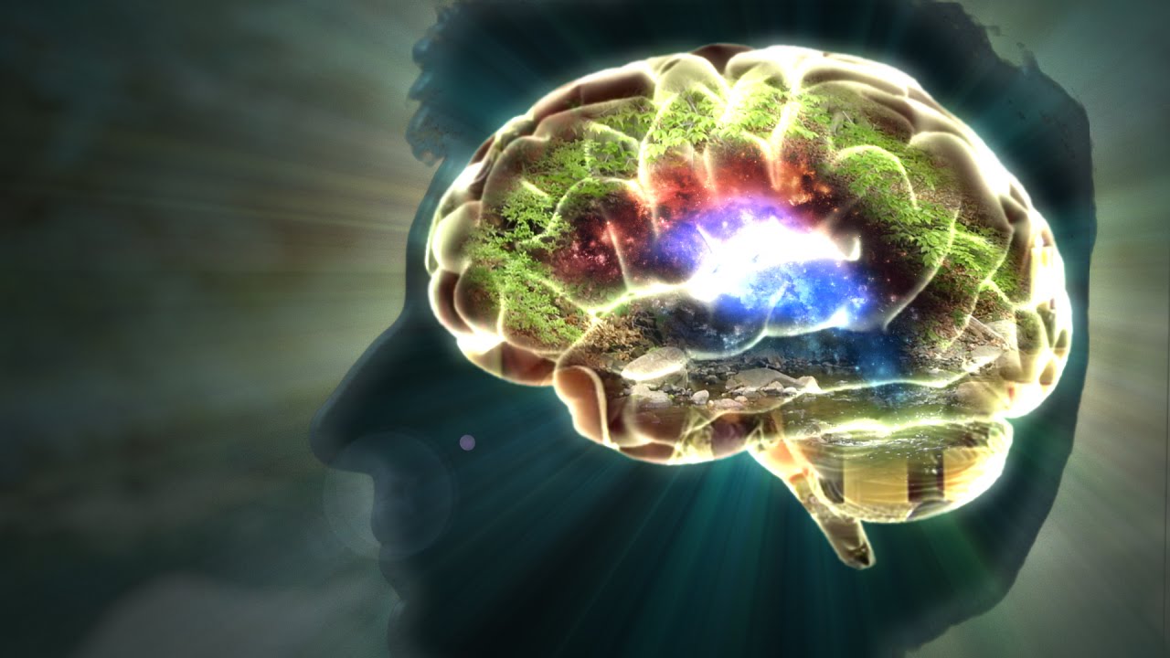 How We Learn in the Afterlife -- Swedenborg and Life
