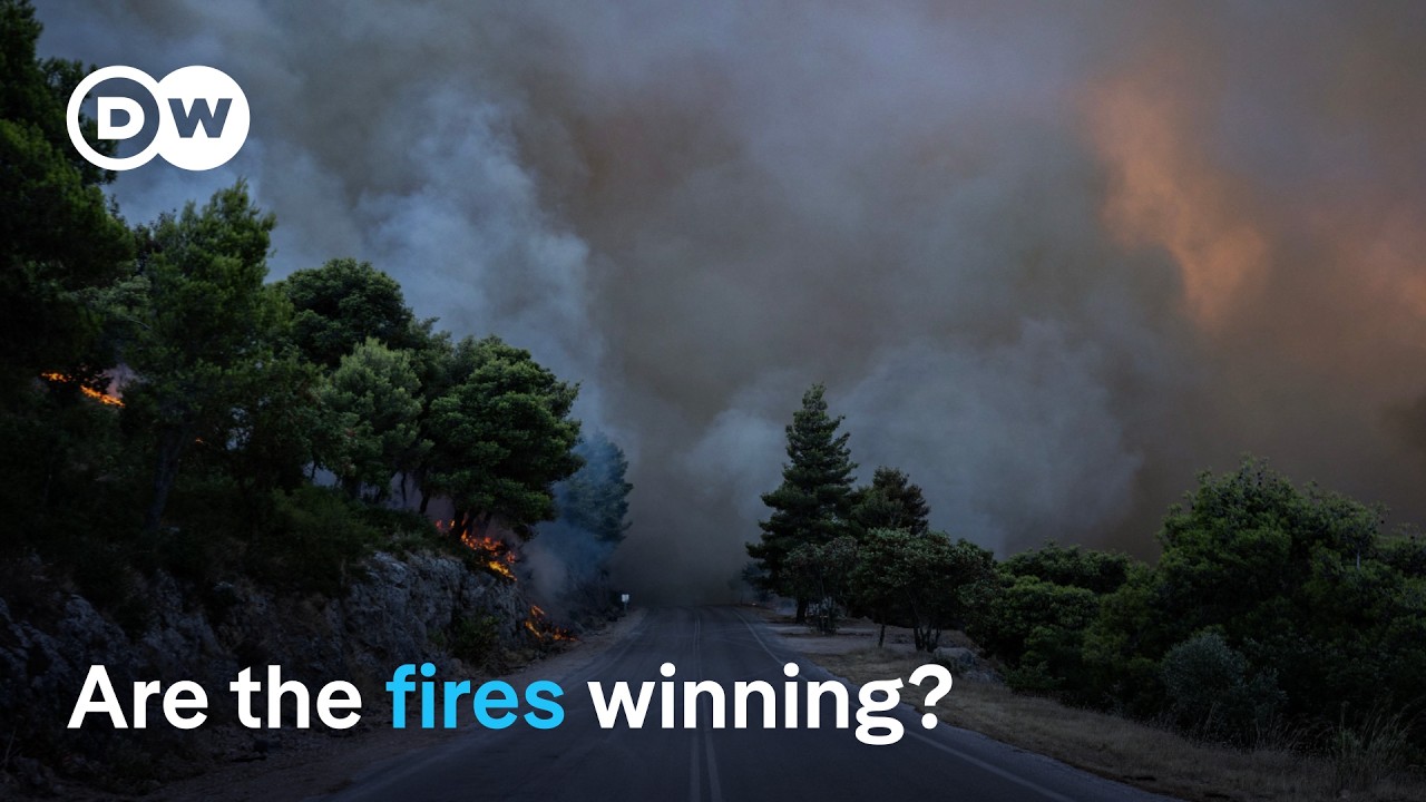 The alarming forecast for Europe's wildfires | DW News