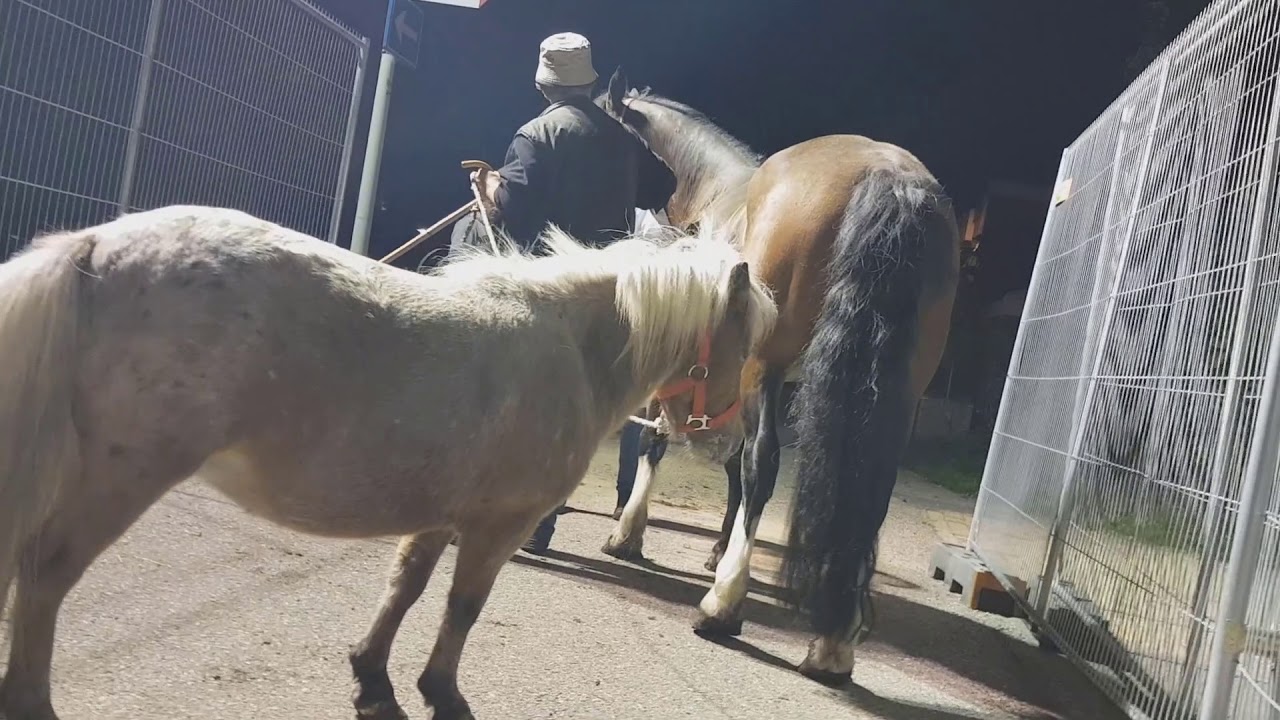 Elstermarkt 2018 nacht