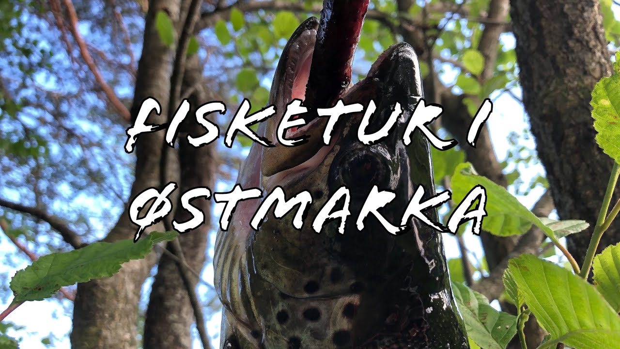 Fisketur i Østmarka 2019