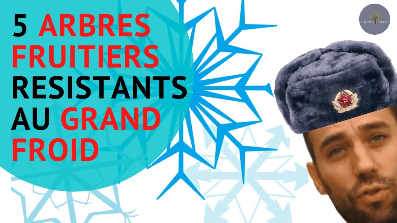 5 Arbres FRUITIERS r&eacute;sistants au grand FROID !