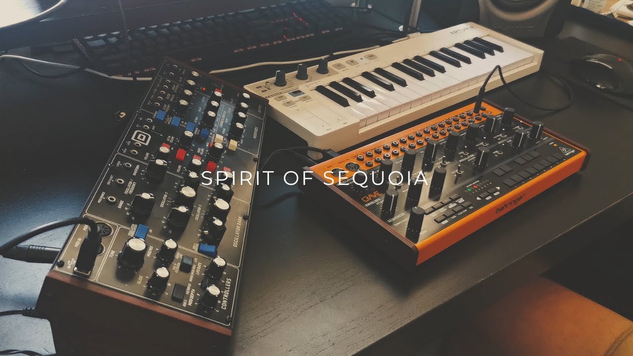 Spirit of Sequoia // Cinematic Ambient Performance // Behringer Model D + Crave
