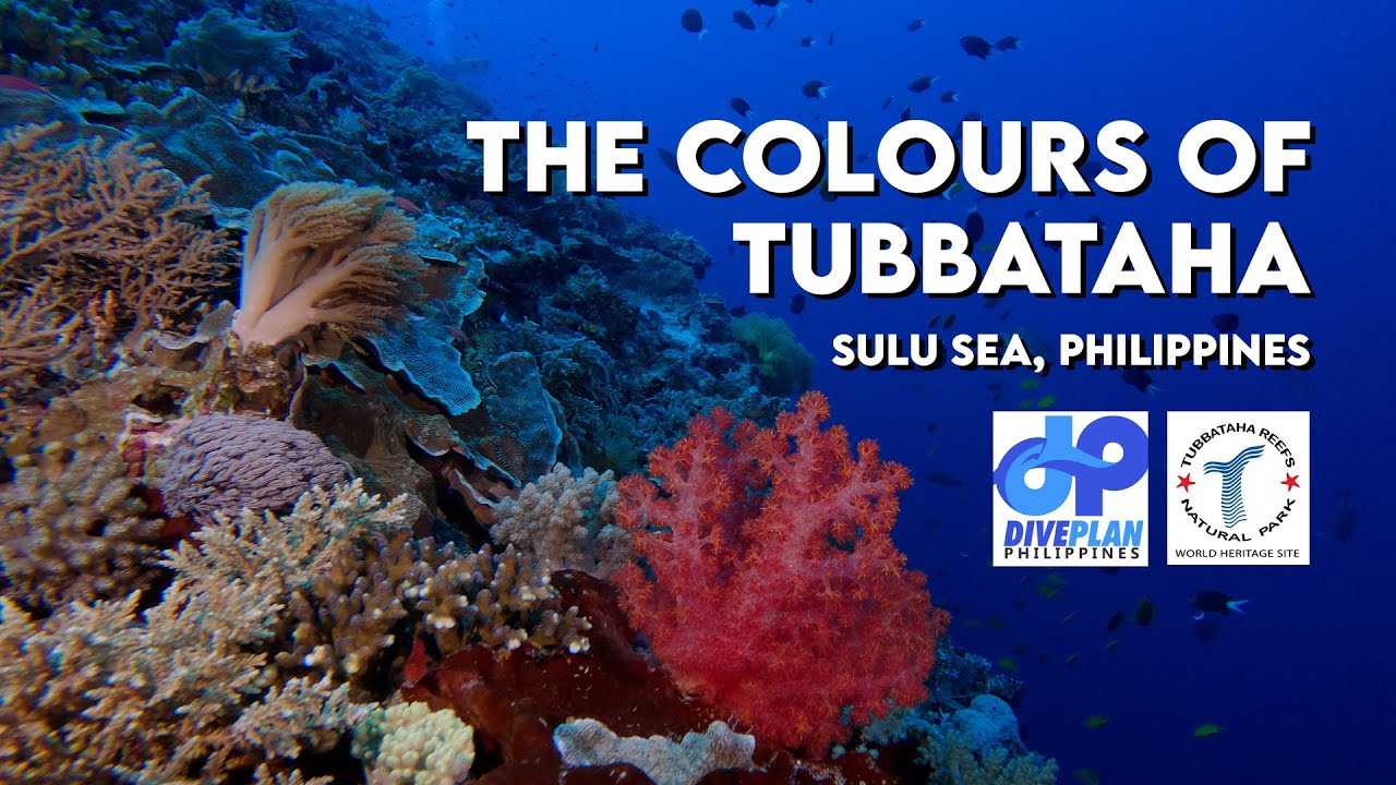 The colours of Tubbataha | GoPro Underwater video FULL HD | Philippines scuba diving