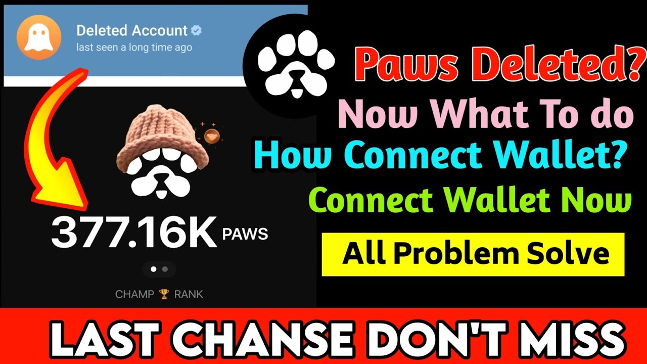 Paws Deleted How to get it back? How to Connect Wallet Last Chanse for everyone