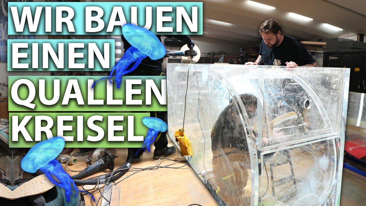 MEGA Quallenkreisel für Zoos! - New Wave Concepts