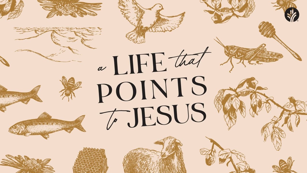 148. A Life That Points to Jesus | Week 1 | Discover the Word Podcast | @Our Daily Bread