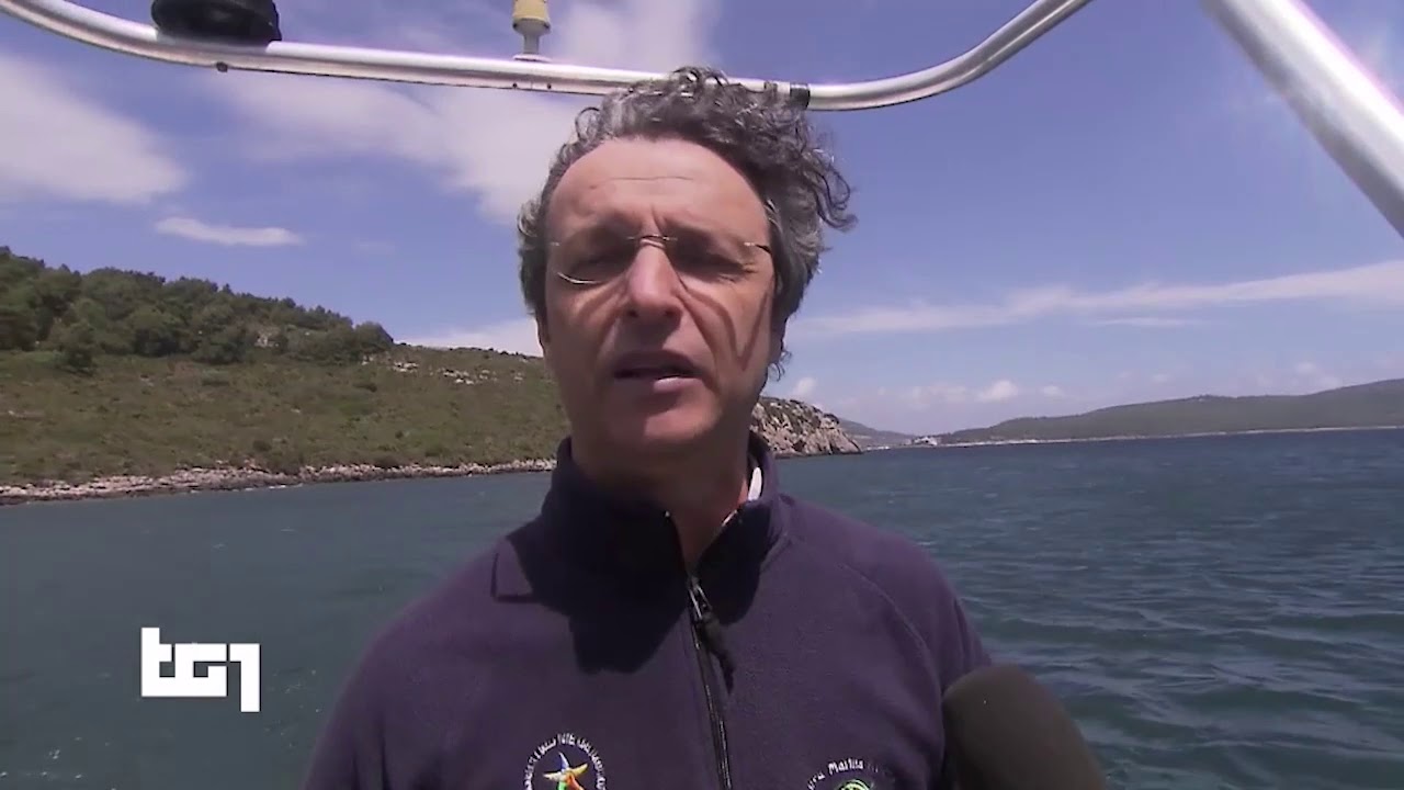 TG1 - Alghero e Parco di Porto Conte