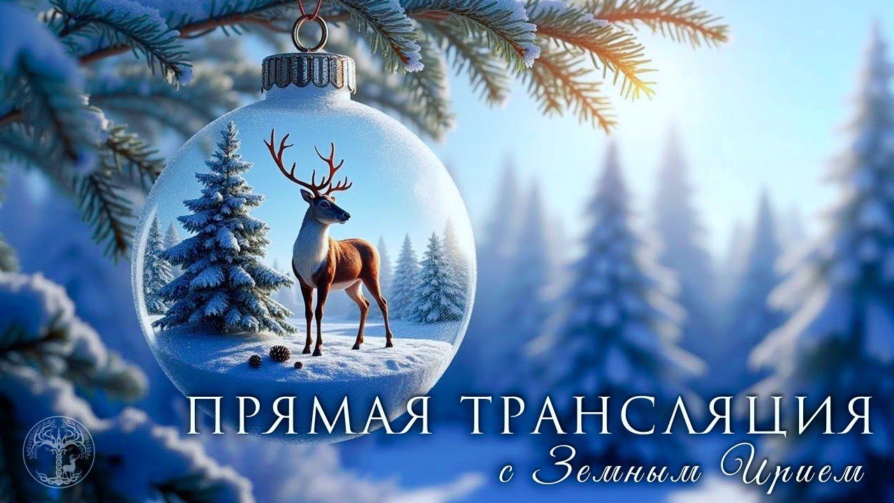 Первый стрим в новом году | Прогулка в парке Москвы