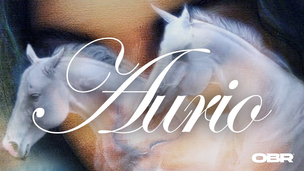 Saske, Danae - AURIO (prod. by Fred Irie) (Official Audio)