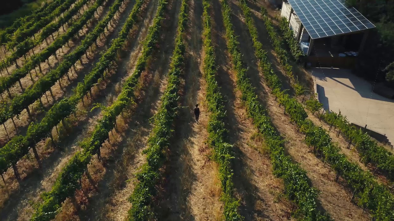 Byington Vineyard & Winery - It Doesn't Get Better Than This