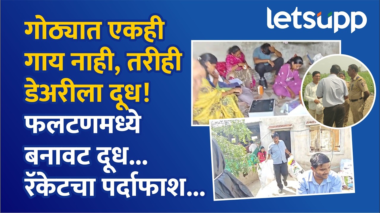 Phaltan FDA Raid : गोठ्यात एकही गायी नाही, तरी शेकडो लीटर दूधाची विक्री, फलटणमध्ये चाललंय तरी काय?