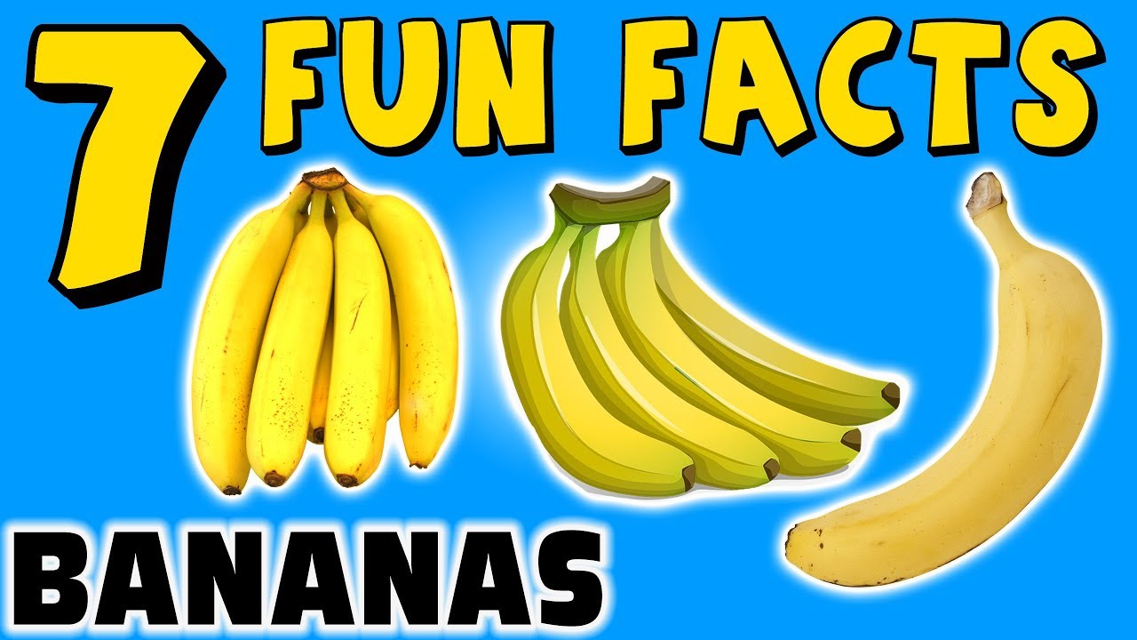 7 FUN FACTS ABOUT BANANAS! FACTS FOR KIDS! Banana! Fruit! Yellow! Learning Colors! Funny Sock Puppet