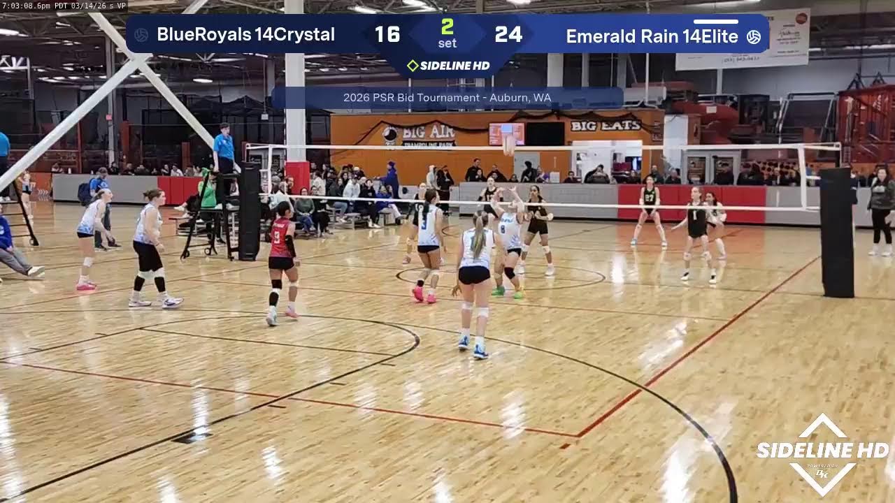 Blue Royals 14 Crystal vs. Emerald Rain 14 Elite (2026.03.14)